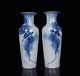 10.6 A Pair Chinese Blue&white Porcelain Handpainted Flowers&birds Vase