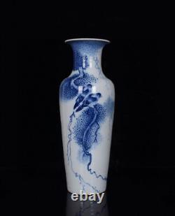 10.6 A Pair Chinese Blue&white Porcelain HandPainted Flowers&Birds Vase