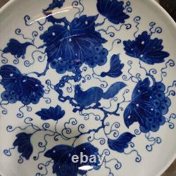 10.6 Collect Chinese Qing Blue White Porcelain Animal Squirrel Grapevine Plate