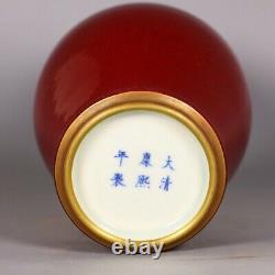10.7 Old Antique Chinese Porcelain qing dynasty kangxi mark red glaze gilt Vase