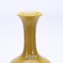 10 Antique old Chinese porcelain Qing dynasty yongzheng mark Yellow glaze vase