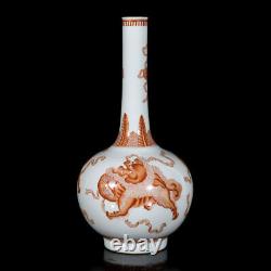 11.4 China Qing Dynasty Porcelain Kangxi Mark HandPainted Exquisite Lion Vase