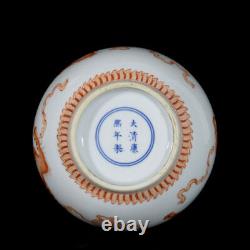 11.4 China Qing Dynasty Porcelain Kangxi Mark HandPainted Exquisite Lion Vase