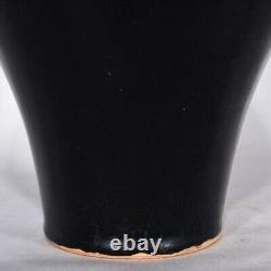 11 Chinese Old Antique Porcelain song dynasty jizhou kiln Black glaze leaf Vase