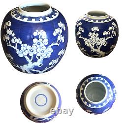 19C Chinese Porcelain Jar Pot Vase Prunus & Cracked Ice & Double Ring Mk/Mint