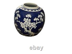 19C Chinese Porcelain Jar Pot Vase Prunus & Cracked Ice & Double Ring Mk/Mint