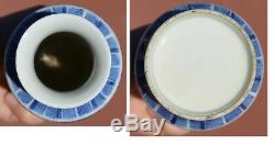 19th Century Chinese Blue & White Porcelain Vase with Fu Foo Lion Dog Faces