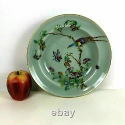 19th Century Chinese Celadon Shallow Porcelain Bowl