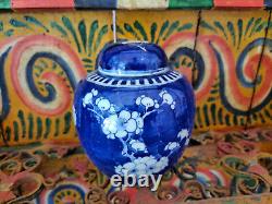 19th Century Chinese Ginger Jar