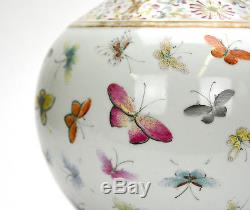 19th c. Chinese Qing Guangxu Famille Rose 100 Butterfly Globular Porcelain Vase
