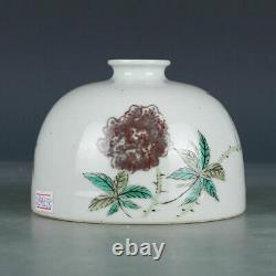 3.5 Antique Old Chinese porcelain dynasty Underglaze red flower plants vase