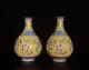 6.6 Antique Qing Dynasty Porcelain Qianlong Enamel Floral Pattern A Pair Bottle