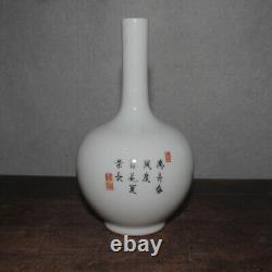 6.88 Chinese Porcelain Qing Qianlong Famille Rose Flowers Grasses Insect Vase