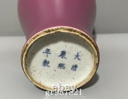 8.7 Chinese Old Antique Porcelain Qing dynasty kangxi mark red glaze Pulm Vase