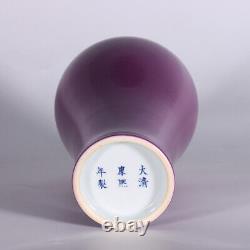 9.1 Chinese Antique Porcelain Qing dynasty kangxi mark Purple glaze Pulm Vase