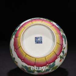 9.5 China old dynasty Porcelain Qinalong mark famille rose flowers plants vase
