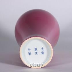 9 Antique old Chinese porcelain Qing dynasty kangxi mark red glaze pulm vase
