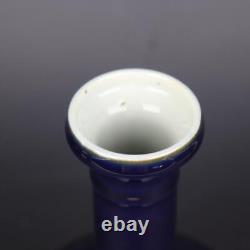 9 Chinese Porcelain Qing Dynasty Kangxi Blue Glaze Bottle Vase