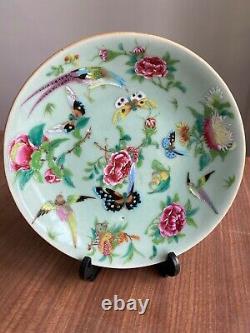 A Antique 19th c. Chinese Celadon Porcelain Plate Famille Rose #4