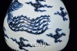 A Pair Beautiful Chinese Hand Painting Blue&white Porcelain Phoenix YuHuChunVAse