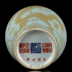 A Pair Chinese Enamel Porcelain Handmade Exquisite Dragon&Phoenix Vase 20904