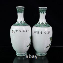 A Pair Chinese Pastel Porcelain HandPainted Exquisite Flowers&Plants Vase 20911