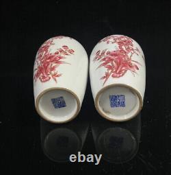 A Pair Chinese Porcelain Hand-Painted Exquisite Flowers&Birds Vase 14956