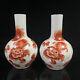 A Pair Chinese Porcelain Hand-painted Exquisite Lion Vase 15031