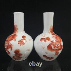 A Pair Chinese Porcelain Hand-Painted Exquisite Lion Vase 15031