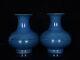 A Pair Chinese Porcelain Handmade Exquisite Vase 15207