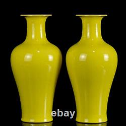 A Pair Chinese Yellow glaze Porcelain Handmade Exquisite Vase 13780
