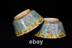 A Pair Fine Collectable Art Handmade Famille Rose Porcelain Flowers Plants Bowl