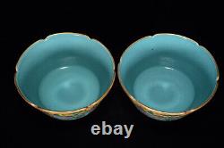 A Pair Fine Collectable Art Handmade Famille Rose Porcelain Flowers Plants Bowl