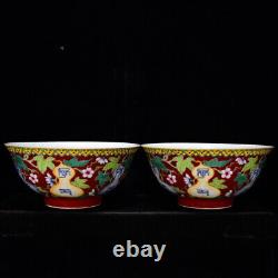 A Pair FineCollectable Art Handmade Painting Famille Rose Porcelain Flowers Bowl