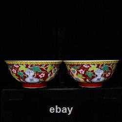 A Pair FineCollectable Art Handmade Painting Famille Rose Porcelain Flowers Bowl