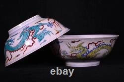 A Pair Vivid Chinese Hand Painting Dou Polychrome Porcelain Dragon Bowl