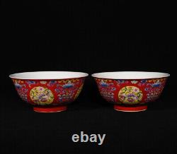 A Pair Vivid Collectable Art Handmade Painting Famille Rose Porcelain Bird Bowl