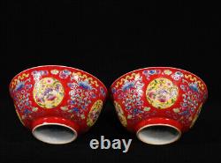 A Pair Vivid Collectable Art Handmade Painting Famille Rose Porcelain Bird Bowl