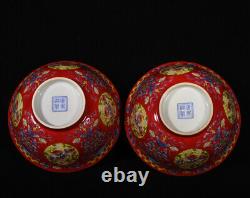 A Pair Vivid Collectable Art Handmade Painting Famille Rose Porcelain Bird Bowl