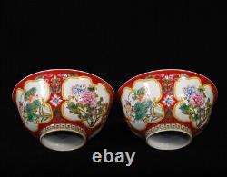 A Pair Vivid Collectable Art Handmade Painting Famille Rose Porcelain Plant Bowl