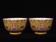 A Pair Ollectable Art Handmade Painting Famille Rose Porcelain Phoenix Bowl