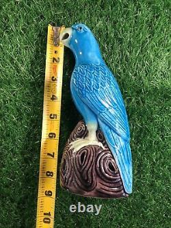 Antique Chinese Blue Glaze Porcelain Parrot Late Qing 19thc To Republic of China
