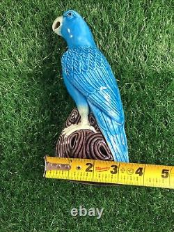 Antique Chinese Blue Glaze Porcelain Parrot Late Qing 19thc To Republic of China