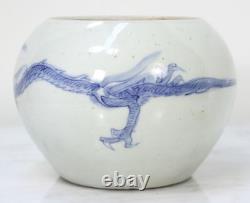 Antique Chinese Blue and White Porcelain Jar. Hand Painted Dragon. Very Old RARE