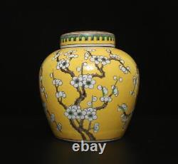 Antique Chinese Famille Rose Pot With plum blossom
