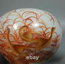 Antique Chinese Hand Painting Red Glaze Porcelain Apple Vase Marked YongZheng