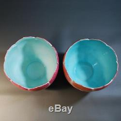 Antique Chinese Porcelain Lotus Bowls or Flower Pot Jardiniere, Marked Daoguang