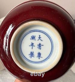Antique Chinese Red Porcelain Bowl. Qing Kangxi Mark
