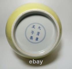 Antique chinese Clear Lemon Yellow Glazed Gallbladder Bottle Porcelain Vase