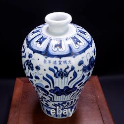 Beautiful Chinese Hand Painting Blue&white Porcelain Fish Mei Vase